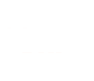 light logo